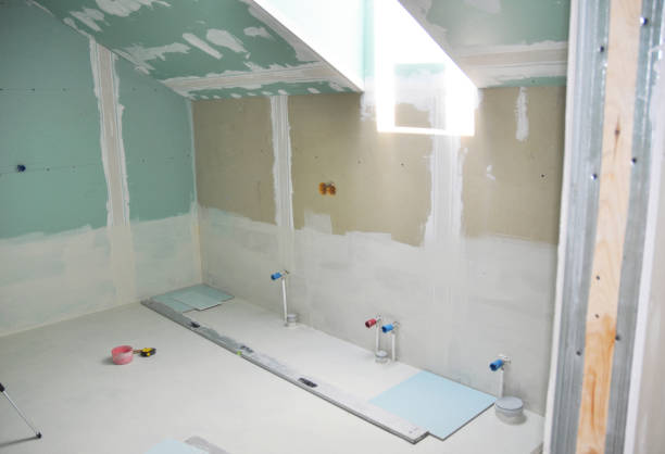 Reliable Schleswig, IA Mold Removal Solutions