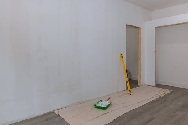 Best Black Mold Removal  in Schleswig, IA