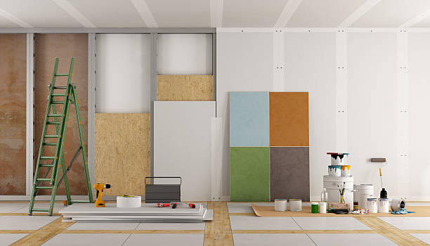 Best Mold Prevention Services  in Schleswig, IA