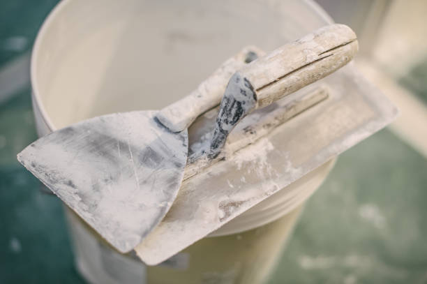 Best Crawl Space Mold Remediation  in Schleswig, IA